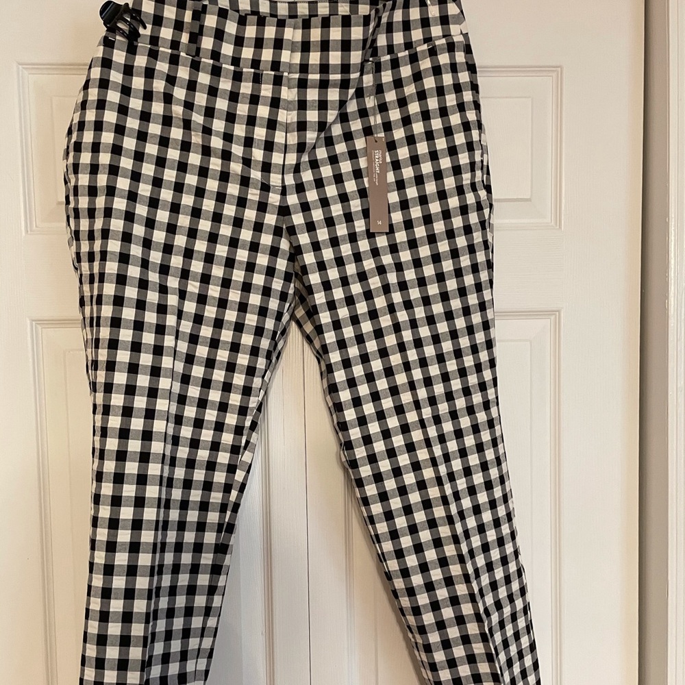 Ann Taylor loft pant